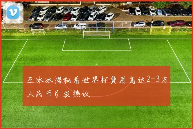 王冰冰揭秘看世界杯费用高达2-3万人民币引发热议