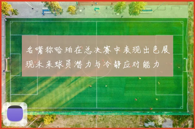名嘴称哈珀在总决赛中表现出色展现未来球员潜力与冷静应对能力