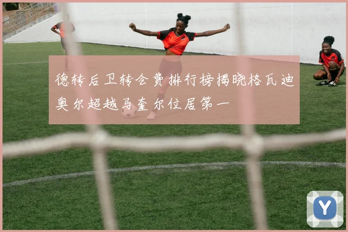 德转后卫转会费排行榜揭晓格瓦迪奥尔超越马奎尔位居第一